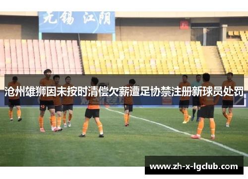 沧州雄狮因未按时清偿欠薪遭足协禁注册新球员处罚